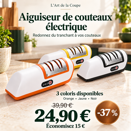 Aiguiseur couteau | Professionnel